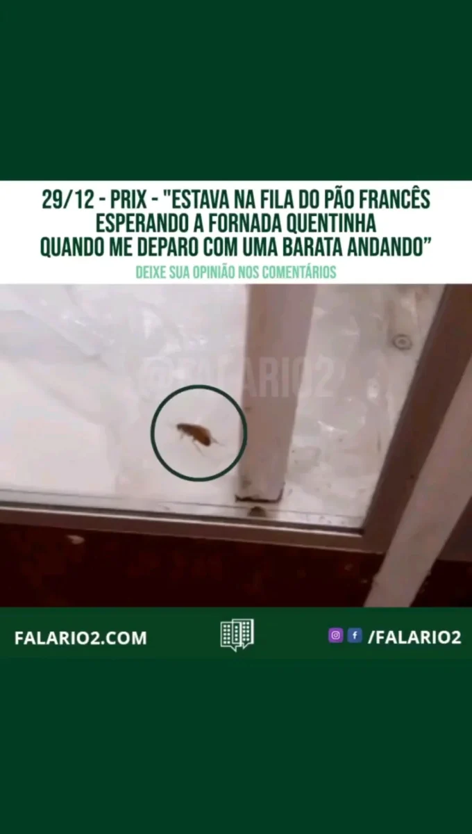 29/12 - "Estava na fila do pão francês esperando a fornada quentinha