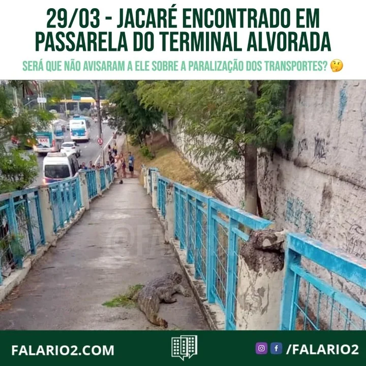 Bombeiros foram acionados às 5h52 desta terça-feira (29).