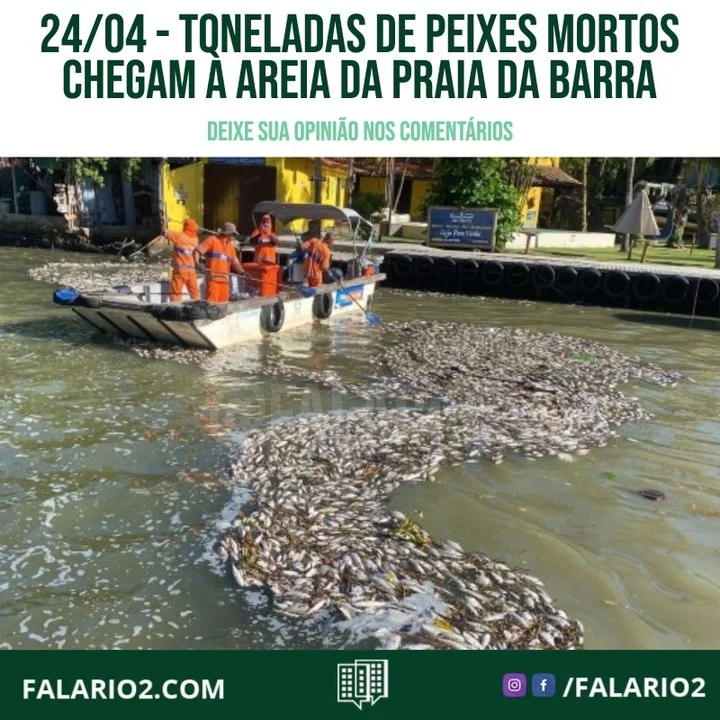 Toneladas de peixes mortos tomaram as águas da Barra da Tijuca, na Zona Oeste do Rio, nesta quinta-feira.