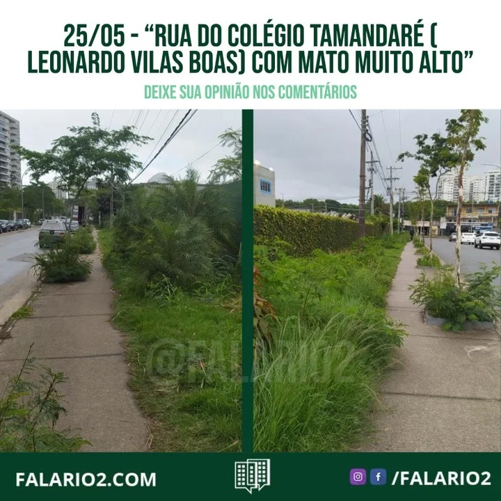 "Rua do colégio Tamandaré ( Leonardo Vilas Boas) com mato muito alto, muito mosquito,não dá nem pra andar na calçada.