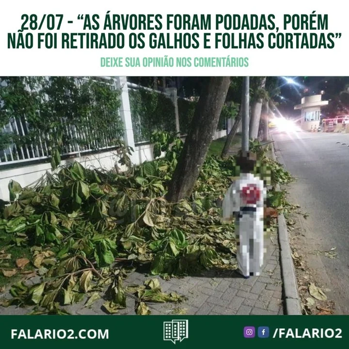 "Moro na Aroazes, e saindo da rua em direção a Pedro Corrêa, na calçada do Condomínio Bora Bora, as árvores foram podadas,