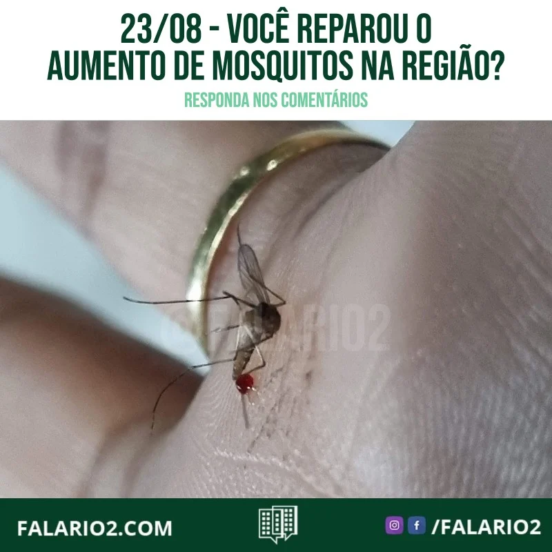 Você reparou o aumento de mosquitos na região na última semana?