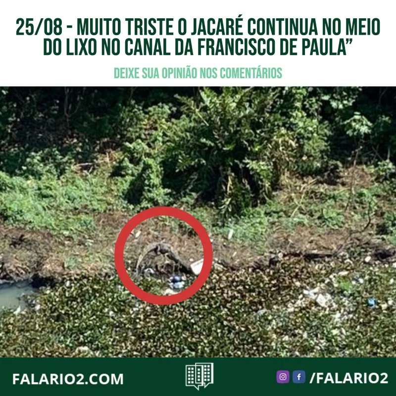 Reclamação de vizinho a respeito da situação do rio da Francisco de Paula.