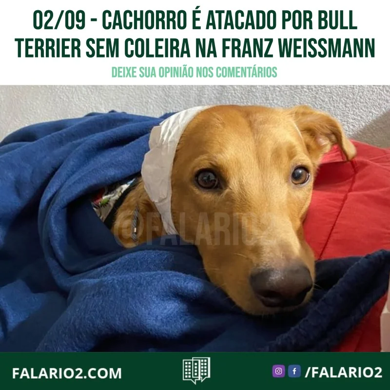 "Olá, bom dia.