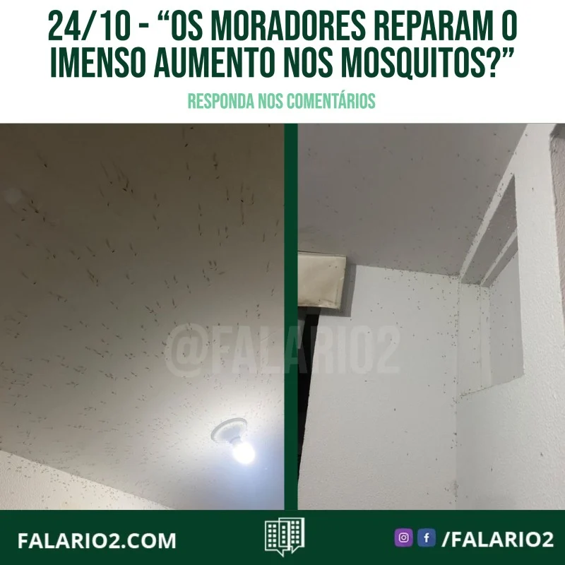 "Os moradores reparam o imenso aumento nos mosquitos?