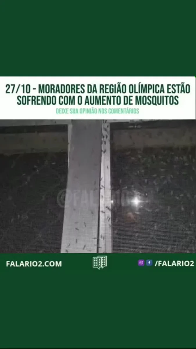 Desde a última semana, vizinhos têm reclamado do aumento exagerado de mosquitos em seus apartamentos.