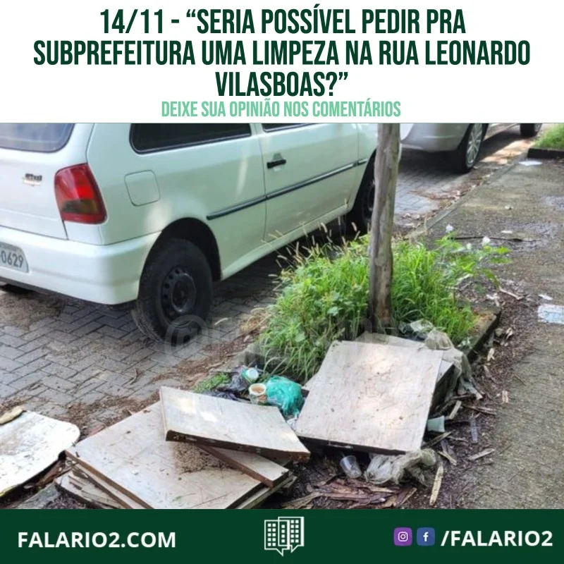 "Bom dia, seria possível pedir pra subprefeitura fazer uma limpeza na rua Leonardo Vilasboas?
