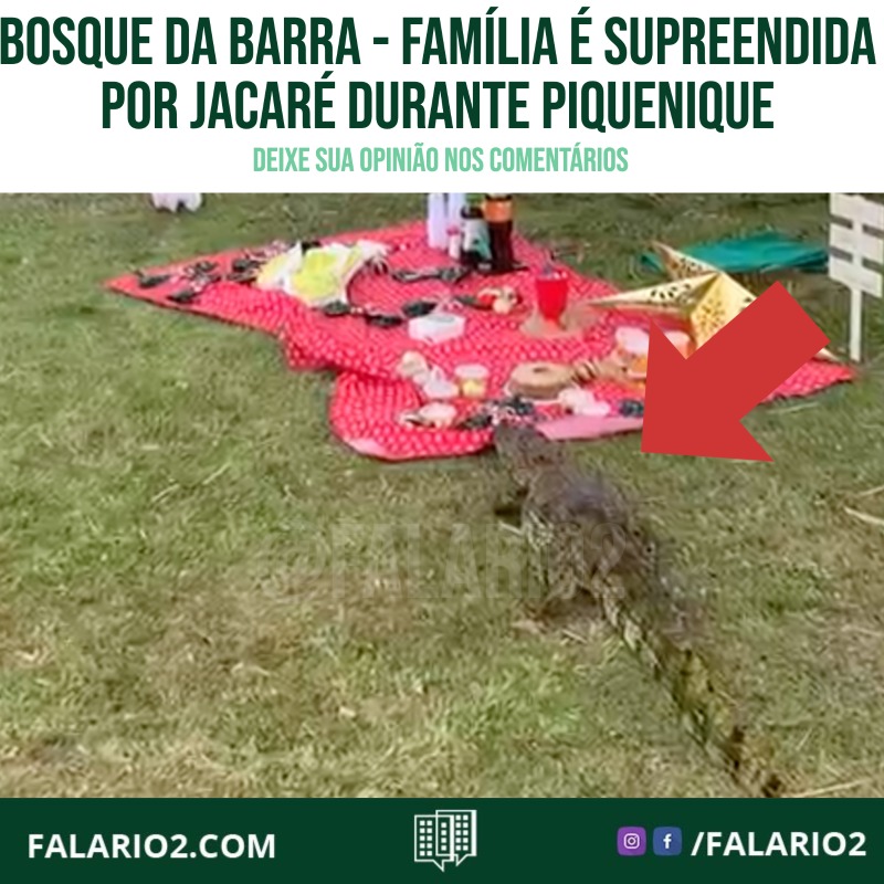 Bosque da Barra - Família é Supreendida por Jacaré Durante Piquenique