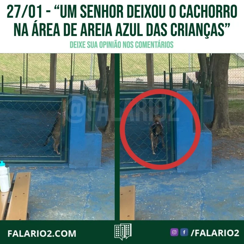 "Hoje pela manhã fui ao parque infantil (grande) do Rio2 e um Senhor deixou o cachorro na área de areia azul das crianças.
