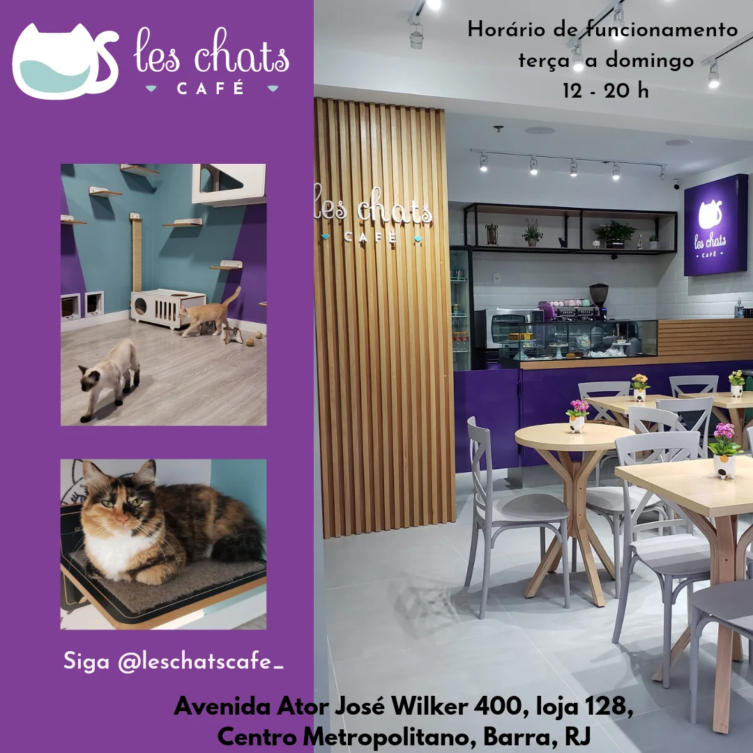 Recado do @leschatscafe_ para nossos vizinhos: