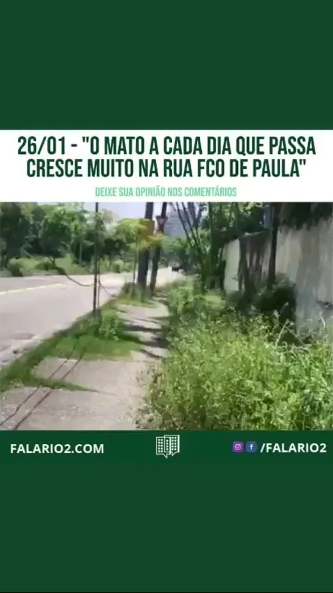 "O Mato a cada dia que passa cresce muito na Rua Francisco de Paula