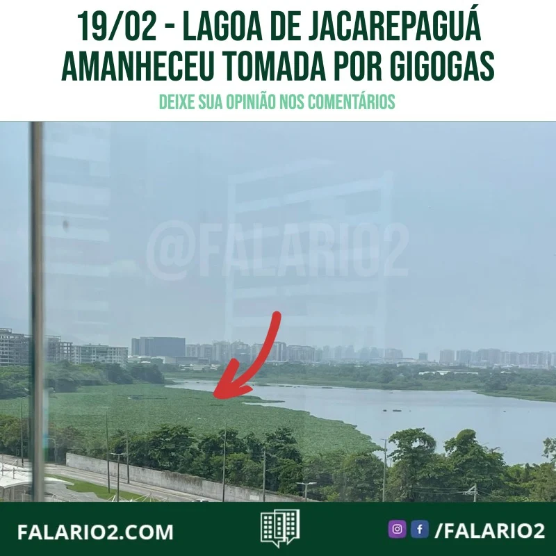 "Gostaria de lhes enviar a situação da nossa Lagoa agora.