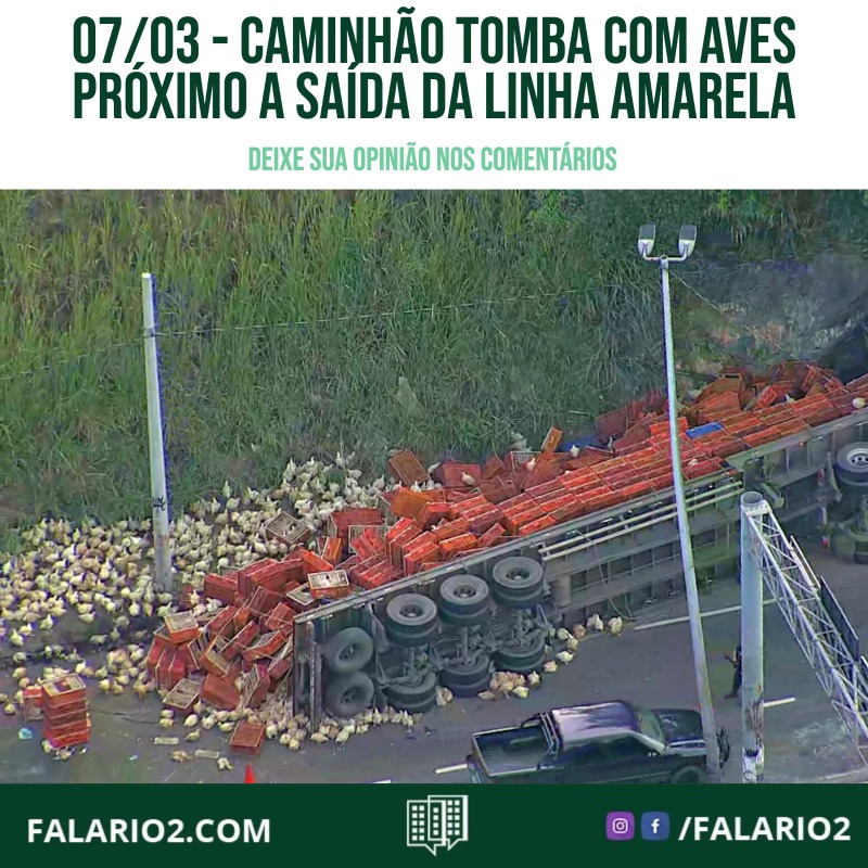 Caminhão tomba com aves próximo a saída da linha amarela