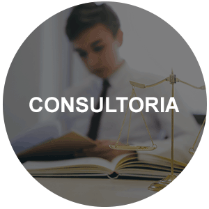 Consultoria Guia de Serviços FalaRio2