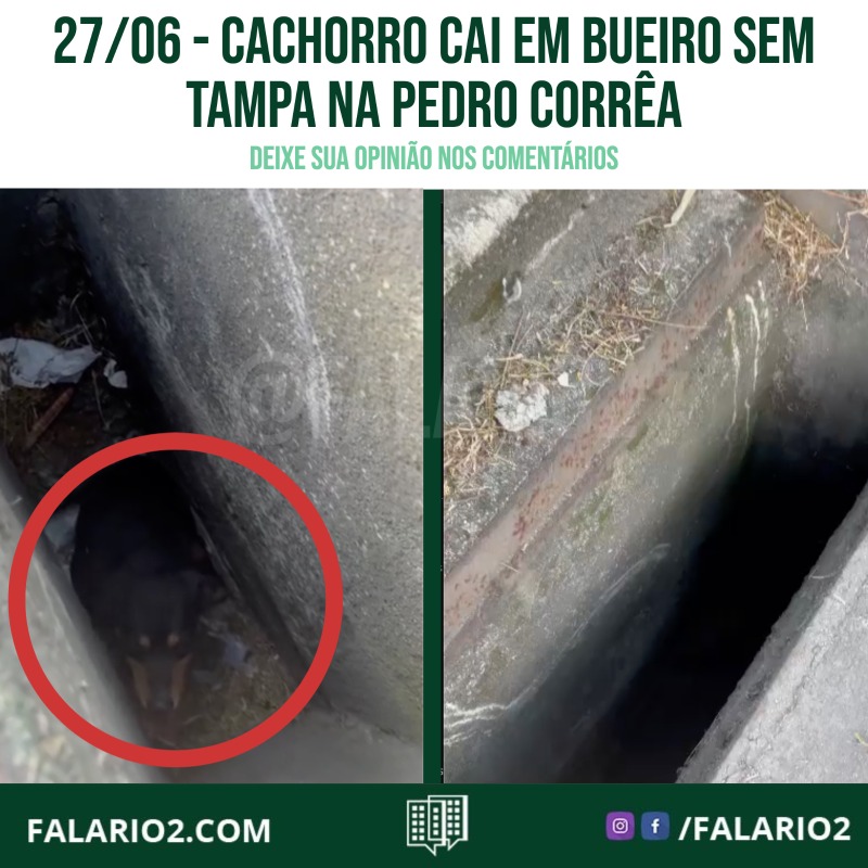 27/06 - Cachorro cai em bueiro sem tampa na pedro corrêa