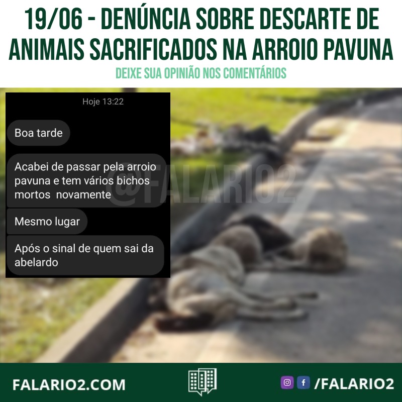 Denúncia sobre descarte de animais sacrificados na Arroio Pavuna