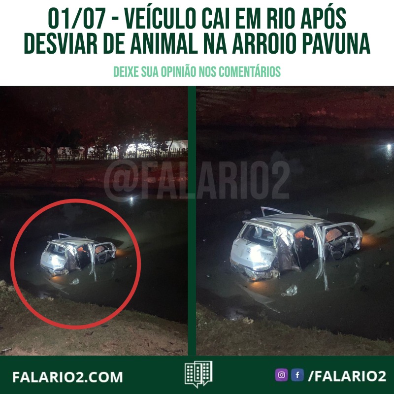 Veéiculo cai em Rio Após Desviar de Animal na Arroio Pavuna