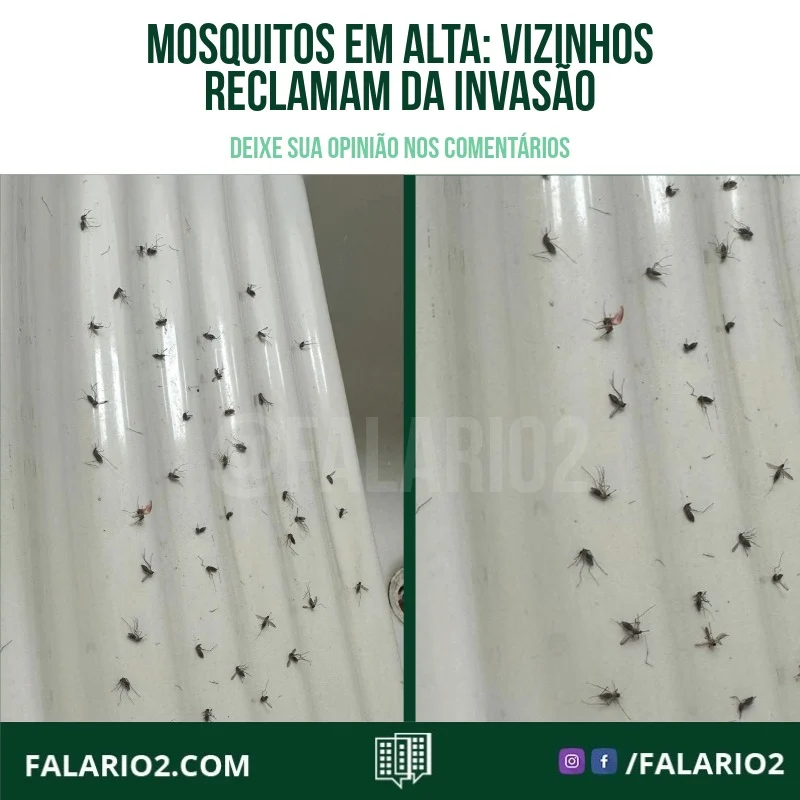 A região tem sido atingida por uma invasão incomum de mosquitos, e nossos vizinhos estão preocupados.