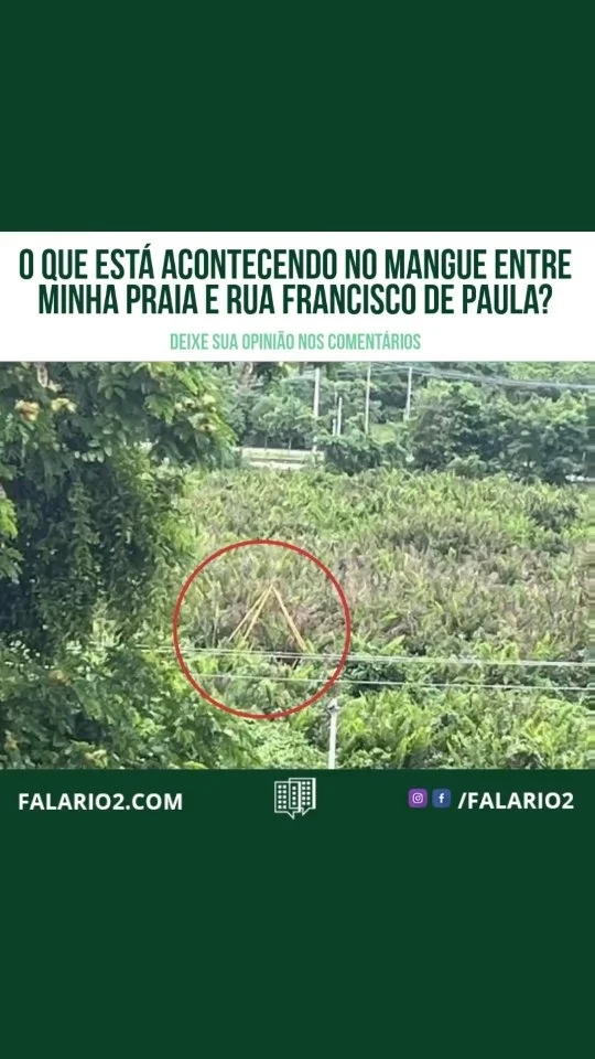 Desde o início desta semana, recebemos fotos e vídeos de homens trabalhando no mangue, situado entre a área do Minha Praia e