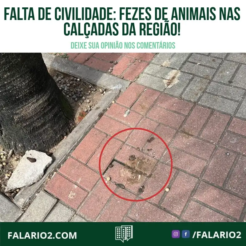 Nosso desafio diário é manter a saúde e a estética das nossas calçadas, combatendo as fezes de animais deixadas