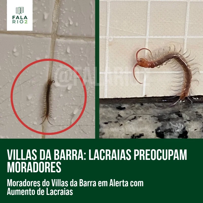 Moradores do Villas da Barra relatam um aumento na aparição de lacraias dentro dos apartamentos.