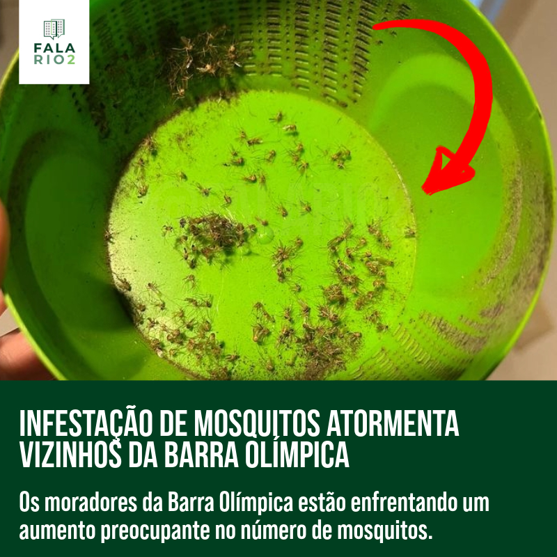 Infestação de mosquitos atormenta vizinhos da Barra Olímpica