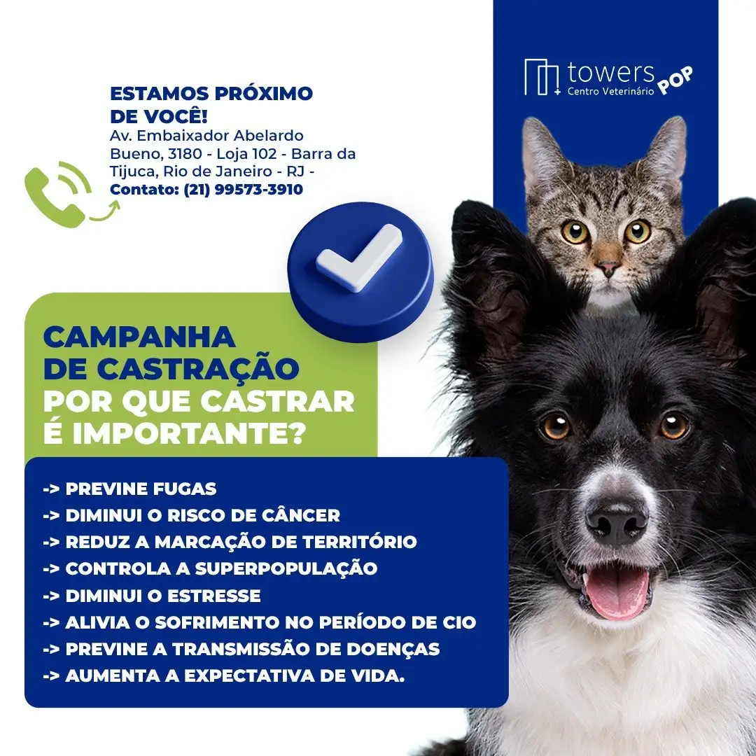 Recado da @towersvet