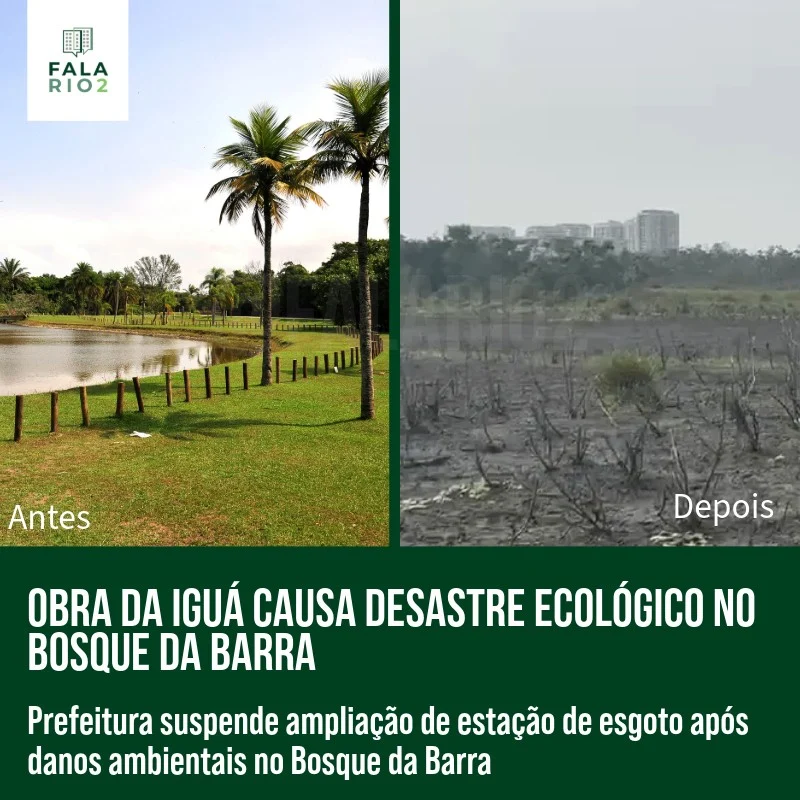 Na Zona Oeste do Rio, o lago do Bosque da Barra da Tijuca secou quase por completo, afetando gravemente o ecossistema local.