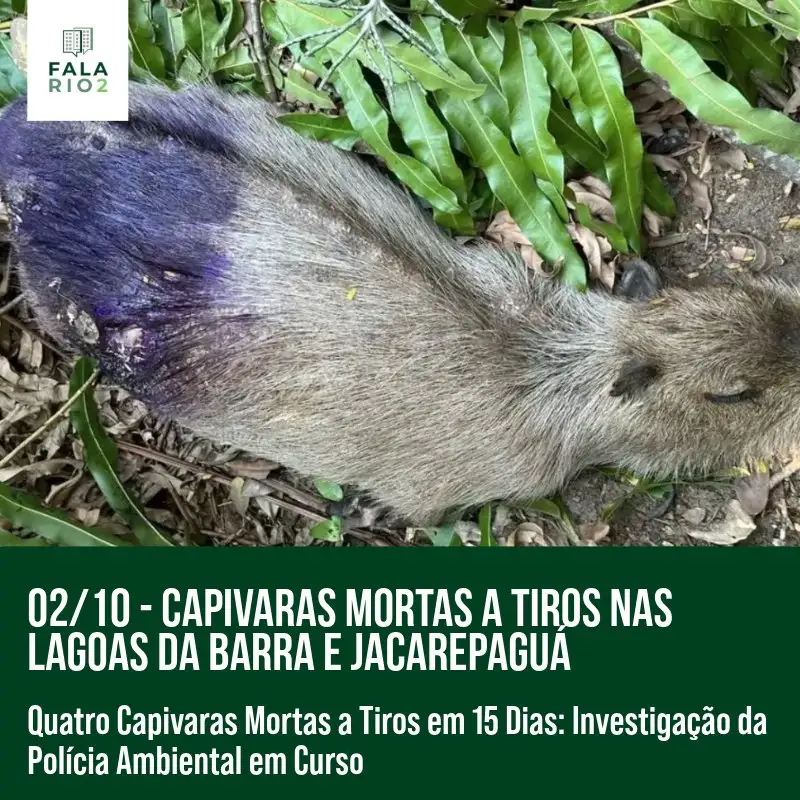 Nos últimos 15 dias, ao menos quatro capivaras foram encontradas mortas a tiros nas lagoas da Barra e Jacarepaguá.
