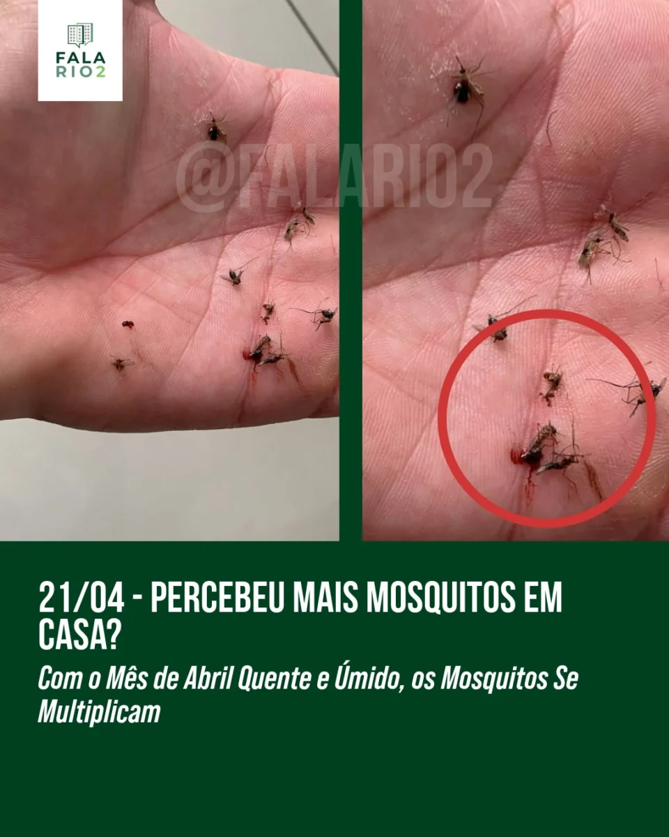 Mosquitos em Alta: Você Também Percebeu o Aumento?