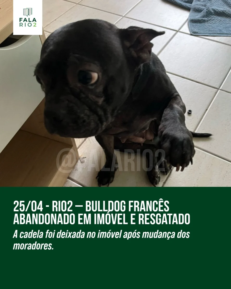 Nesta sexta-feira, 25 de abril, moradores de um residencial no Rio2 se mobilizaram após o relato de que uma cachorrinha
