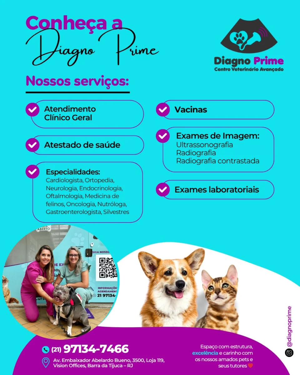 Recado da @diagnoprime para os vizinhos.