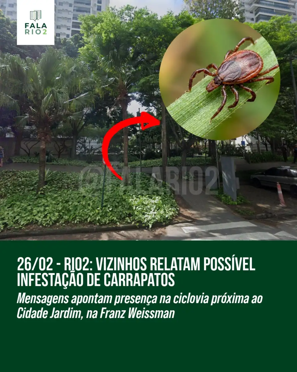 Vizinhos enviaram relatos à página sobre possível presença elevada de carrapatos na região da ciclovia do Rio 2, na Franz