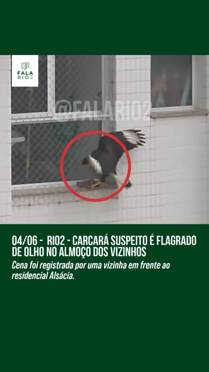 Depois de tantos relatos de assaltos, furtos e problemas de segurança, hoje temos uma ocorrência bem diferente para